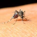 haber-gorseli-1787133959421