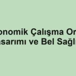 ergonomik-calisma-ortami-tasarimi-ve-bel-sagligi